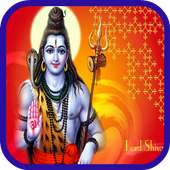 Hindu Tamil Quiz & News