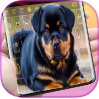 Rottweiler Dog Keyboard on 9Apps