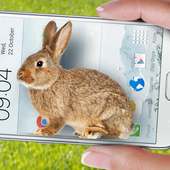 Bunny in Phone Cute joke