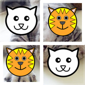 Fun Cat  3 in 1 icon
