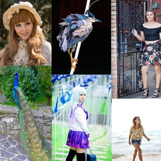 Popular Photos and Picture Galleries icon