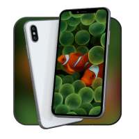 Theme for iPhone 4 on 9Apps