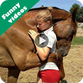 Funny videos for whatsapp icon