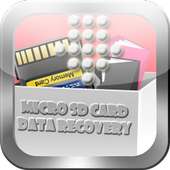 Micro SD Card Data Recovery on 9Apps