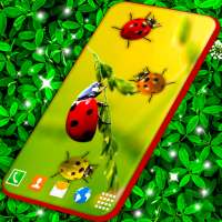 Cute Ladybug Live Wallpaper on 9Apps