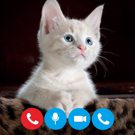 Cat😍 Fake Video Call prank icon