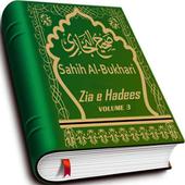 Zia e Hadees (Vol 3) icon