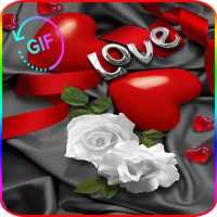 Romantic Images I Love You Roses And Flowers Gif on 9Apps