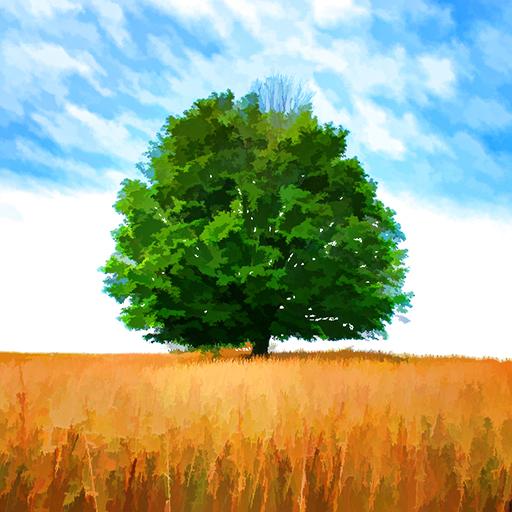 Live Wallpapers Free icon