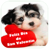 Feliz día del Amor y amistad 2020 icon