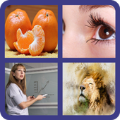 تعلم اللغة الانجليزية كلمات 2020 أيقونة