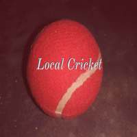 Local Cricket