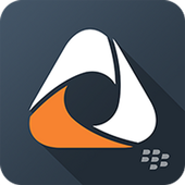 BlackBerry Access icon