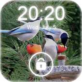 4K Garden Birds Lock Screen Wallpaper on 9Apps
