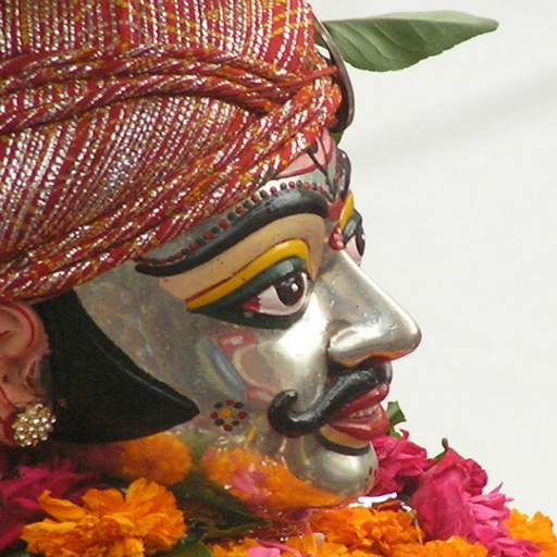 Ujjain 84 Mahadev Yatra icon