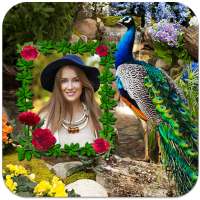 Peacock Photo Frames