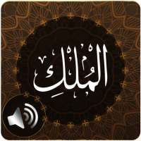 Surah Mulk Audio on 9Apps