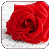 Romantic Pictures for Whatsapp icon