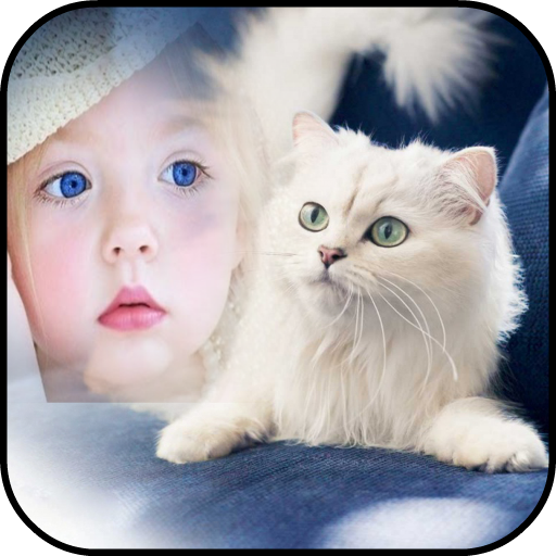 Best Cat Camera Photo Frames icon