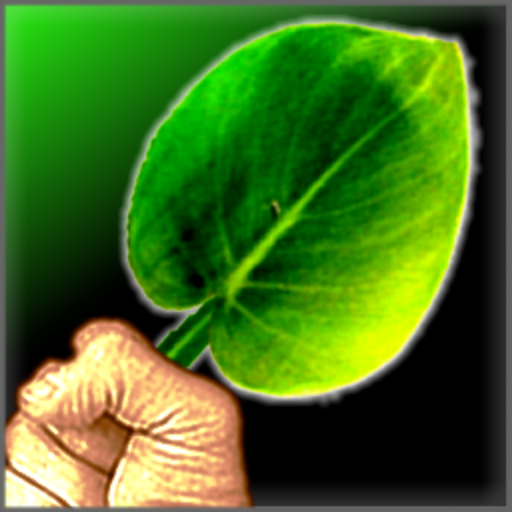 Go Save the Forest: Christmas Edition icon