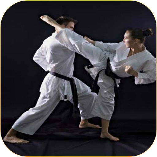Karate lessons icon
