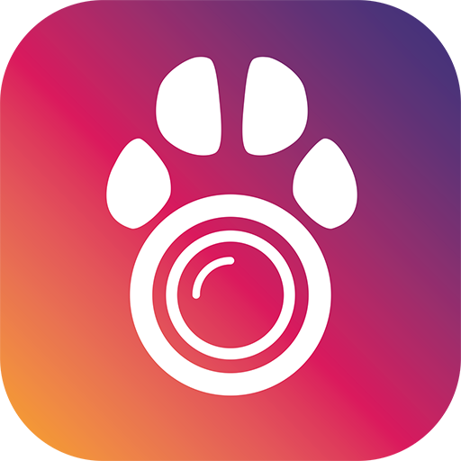PetCam App - Pet Câmera App icon