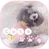Cute Dog Keyboard Theme