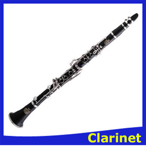 Pro Clarinet icon
