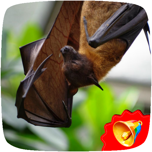 Bats Sounds icon