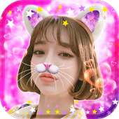 Selfie Cat Face Effect Pro