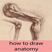 how to draw anatomy icon