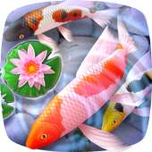 Koi Fish 3D Animated Live Theme on 9Apps