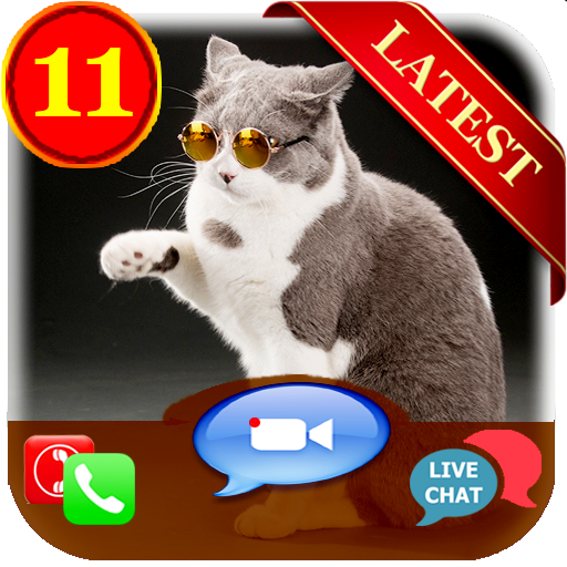 Cat Fake Call | Video Call &amp; Chat- Simulation icon