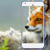 Nature Wallpapers: Birds, Animals, Butterflies icon