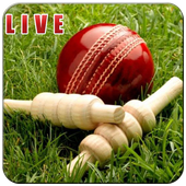 Cricket Scores Live T20 2016 icon