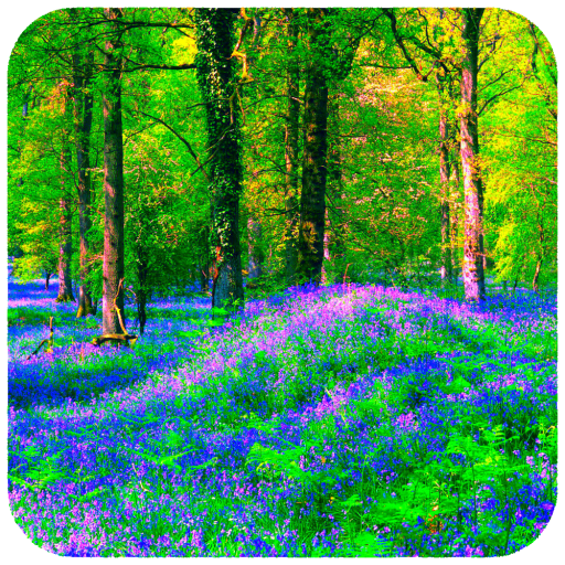 Forest  Wallpaper icon