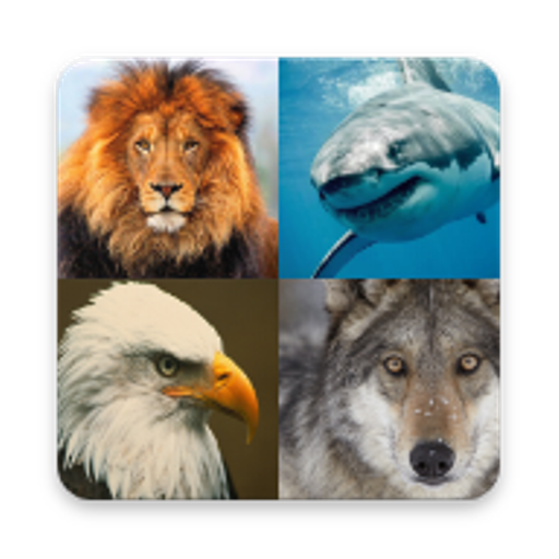 Animali e uccelli icon