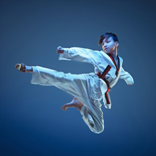 How to Learn Karate icon