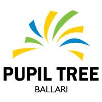 PUPIL TREE