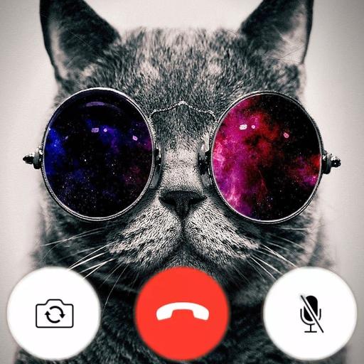 Talking Cat Video Call - Birthday Wishing Cat icon