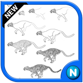 Animal Drawing Tutorials icon
