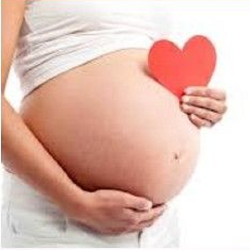 Pregnancy and Ovulation Calculator icon