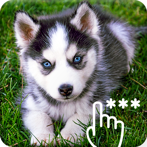 Siberian Husky Wallpaper Pattern PIN Lock Screen icon