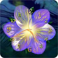 Serene flower clock HD widget