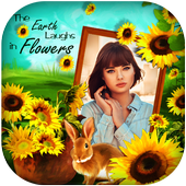 Sunflower Photo frames icon