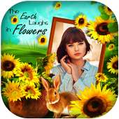 Sunflower Photo frames on 9Apps