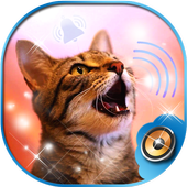 Cat Ringtone Sounds icon
