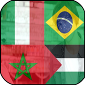 علم دولة في صورتك أيقونة