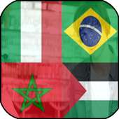 علم دولة في صورتك