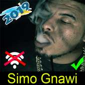 جميع اغاني سيمو كناوي بدون انترنت Simo Gnawi 2019 on 9Apps